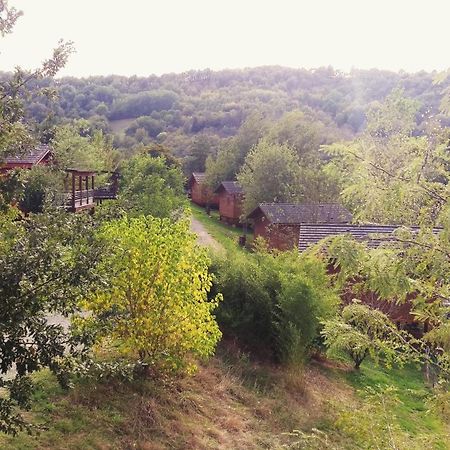Вилла La Ferme Du Duzou Saint-Cyprien-sur-Dourdou Экстерьер фото
