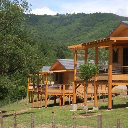 Вилла La Ferme Du Duzou Saint-Cyprien-sur-Dourdou Экстерьер фото